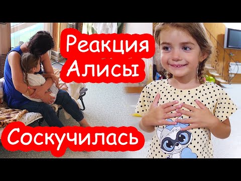 Видео: VLOG Тётя Оля приехала к нам на море. Реакция Алисы