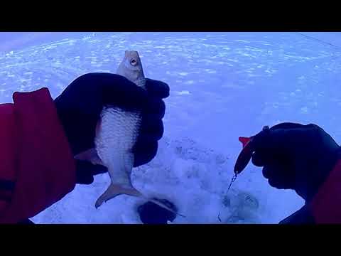 Видео: Озеро Зайсан. Рыбалка 2018-2019 г.