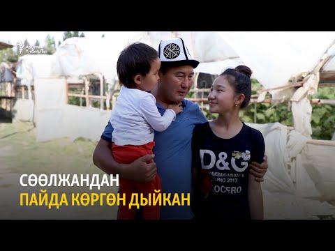 Видео: Сөөлжандан пайда көргөн дыйкан