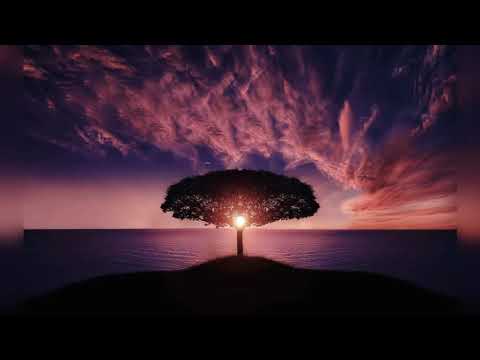 Видео: Anna Asti, Филипп Киркоров- Хобби(Slowed+Reverb)