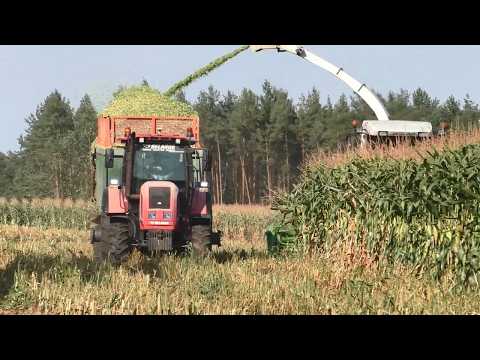 Видео: Заготовка силоса: Слаженная работа CLAAS Jaguar 870 и команды техники!