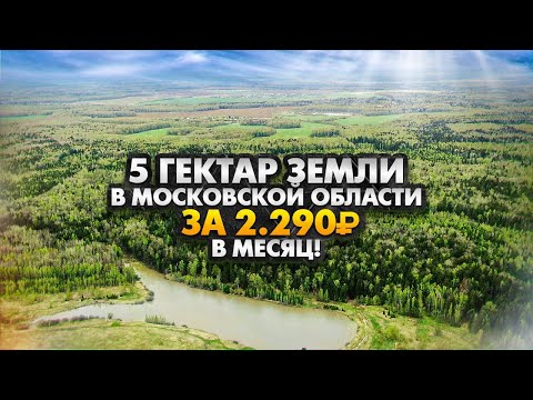Видео: ВЫИГРАЛ 5 ГЕКТАР ЗЕМЛИ У ПРУДА ЗА 27,500р В ГОД В МОС ОБЛАСТИ! КАК ТАКОЕ ВОЗМОЖНО и ГДЕ РАЗВОД?
