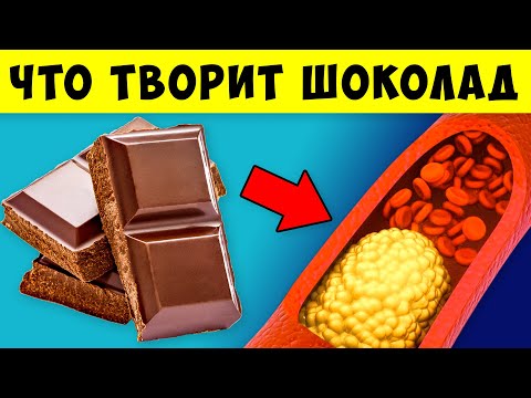 Видео: Вот что творит ШОКОЛАД с телом! 99% употребляющих НЕ ЗНАЮТ об этом!