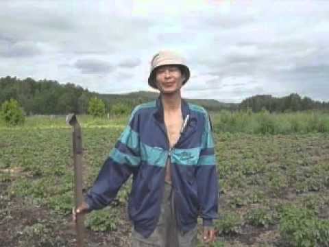 Видео: Ленивый огород (полная версия)