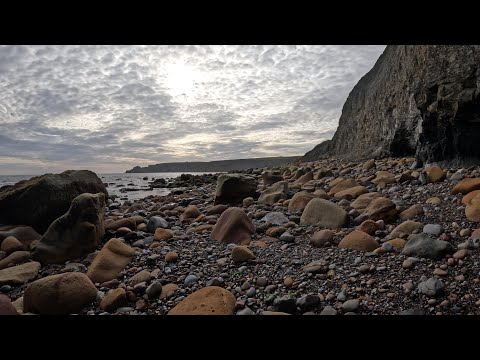Видео: Фантастическая находка окаменелостей: охота на залив Рансвик в Голдсборо, сентябрь 2025 г.
