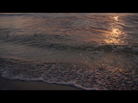 Видео: Ноябрь 09, 2025 | Воскресное Богослужение