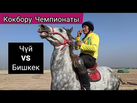 Видео: Кокбору Чемпионаты/ Чүй & Бишкек 🔥🔥🔥