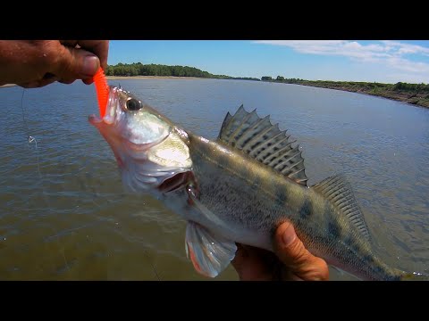 Видео: СУДАК НА ДЖИГ НА ЯМАХ В КИРПИЧНОМ