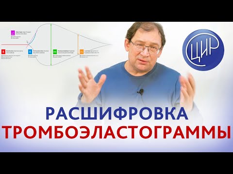 Видео: Расшифровка тромбоэластограммы. Значение тромбоэластограммы при осложнениях беременности.