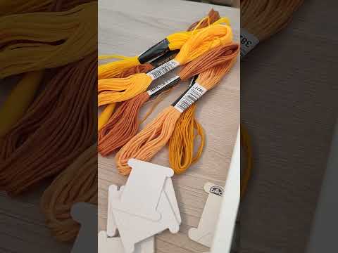 Видео: 19 июня 2025 г.