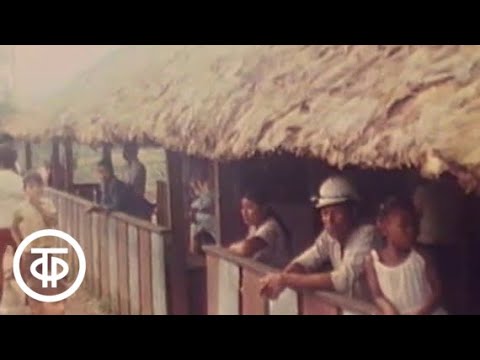 Видео: Международная панорама. Эфир 16.10.1983. ФРГ, Никарагуа, СССР - Мали, Гавайский архипелаг (1983)