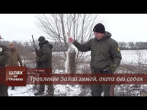 Видео: Тропление Зайца зимой, охота без собак. [Шлях до Трофею №4]