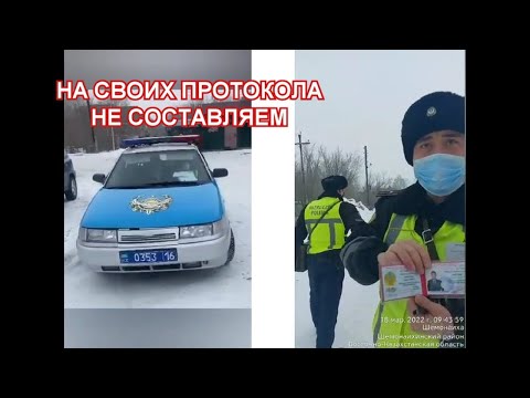 Видео: Начальник на подложных номерах/Носители погон не привлекли нарушителя. ГАИ Шемонаиха