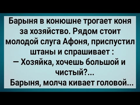 Видео: Как Слуга с Барыней Возлег! Сборник Свежих Анекдотов! Юмор!