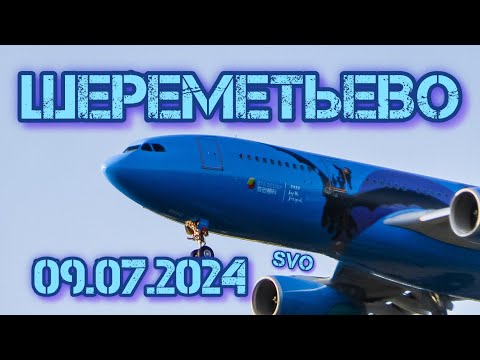 Видео: Споттинг в Шереметьево 09.07.2024