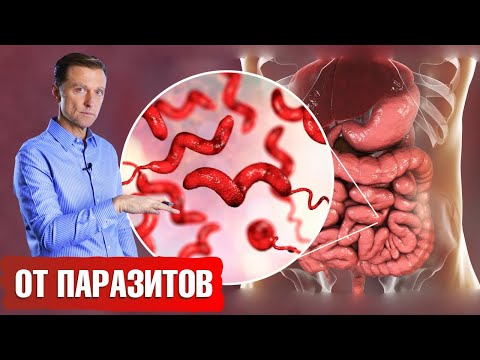 Видео: Лучшие травы от паразитов. Как избавиться от паразитов🍃