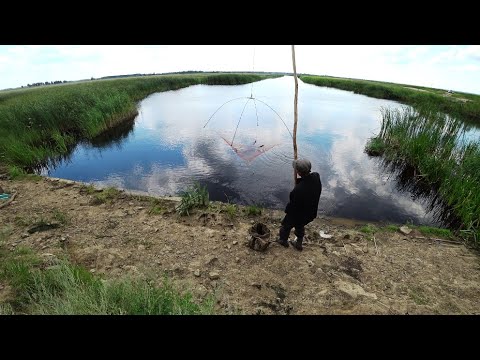 Видео: Половили окуней, покидали магнит. В поисках хищника.