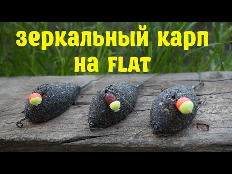 Видео: РЫБАЛКА НА ФЛЭТ ФИДЕР РЫБА КАРП , Flat Feeder
