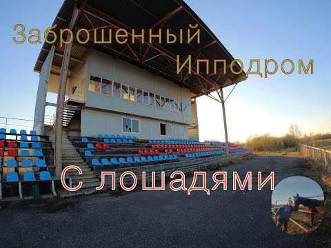 Видео: Заброшенный ипподром с лошадями Abandoned hippodrome with horses