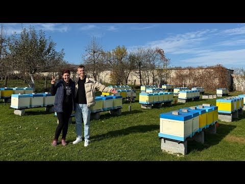 Видео: Пасіка на 100 бджолиних сімей: історія жінки, яка не зупиняється ні перед чим!