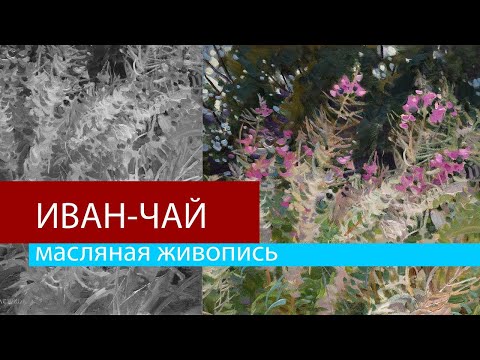 Видео: Полевые травы крупным планом в технике алла прима. Иван-чай.