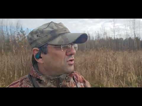 Видео: К правильному капитализму. От "совка" к благополучию.