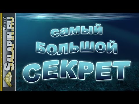 Видео: Самый большой рыболовный секрет [salapinru]