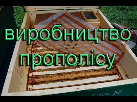 Видео: Промислова технологія збору прополісу