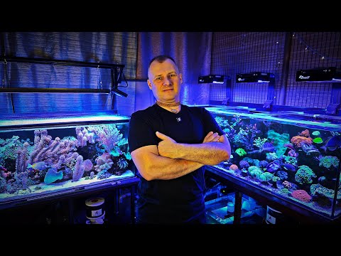 Видео: Аквариумы Сергея CAIMAN