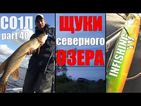 Видео: Щуки на 7кг! Ловим крупную щуку на северном озере. Со1Л. Part 40