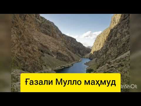 Видео: усто сироч