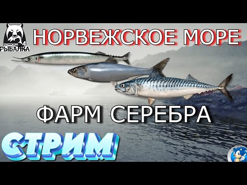 Видео: 🌟НОРВЕЖСКОЕ МОРЕ🌟ФАРМЛЮ НА МОРСКУЮ ТОП СБОРКУ🌟Русская Рыбалка 4(РР4)🌟