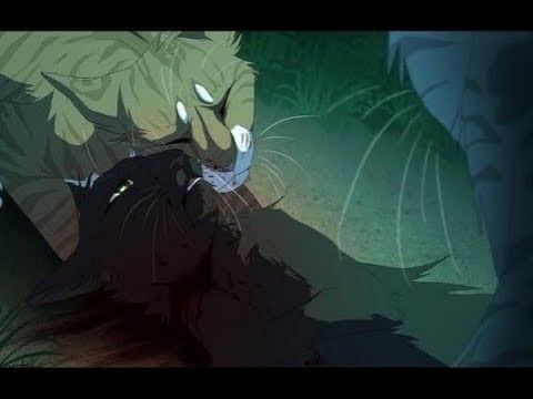 Видео: Коты воители:  Мама я умираю...