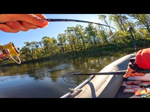 Видео: ПРЕДСТАВЛЯЕШЬ?! ОПЯТЬ ОНА КЛЮНУЛА! Рыбалка на спиннинг, джиг на реке в 2025