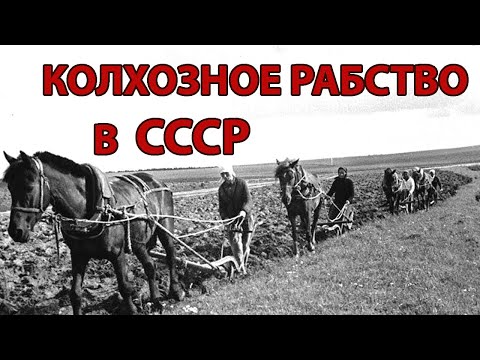 Видео: КОЛХОЗНОЕ РАБСТВО В СССР