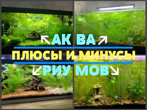 Видео: ПЛЮСЫ И МИНУСЫ НАШИХ АКВАРИУМОВ: EHEIM, ATMAN, AQUAEL, ОБЫЧНЫЙ - КАКОЙ ЛУЧШЕ? РАССКАЗЫВАЕМ ОБО ВСЕМ!