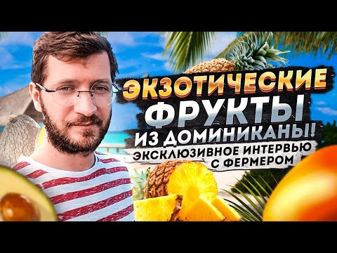 Видео: Экзотические фрукты в Доминикане, импорт-экспорт