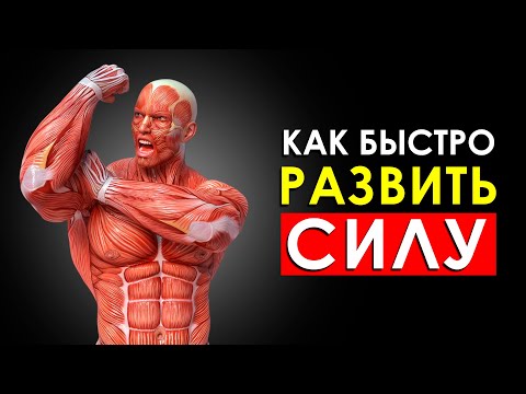 Видео: Как Быстро Развить Мышечную Силу (Лучшие Упражнения На Силу)