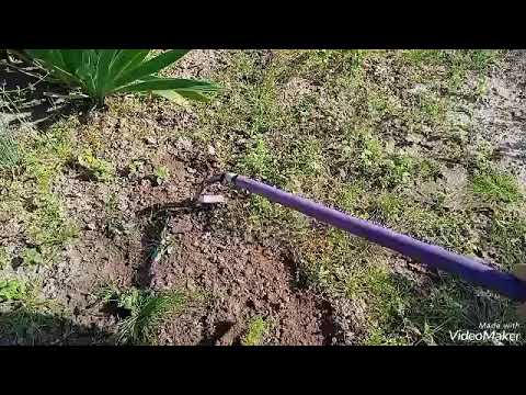 Видео: Сравнение полольников-петля по удалению сорняков