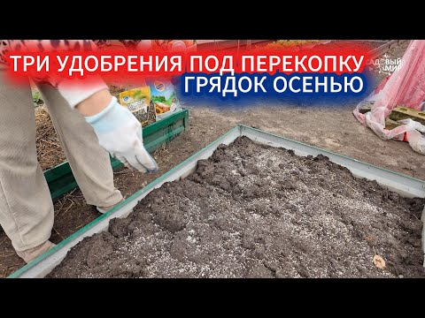 Видео: Что положить в землю осенью? Три удобрения под перекопку