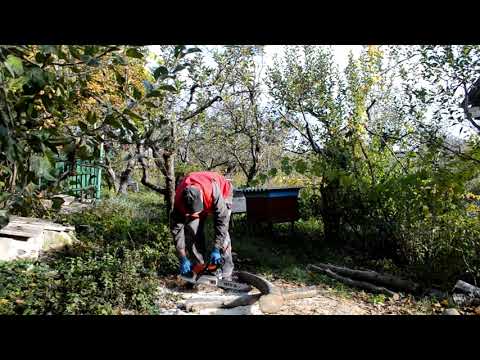 Видео: Заводится с полуоборота после простоя, хоть и старая #shorts