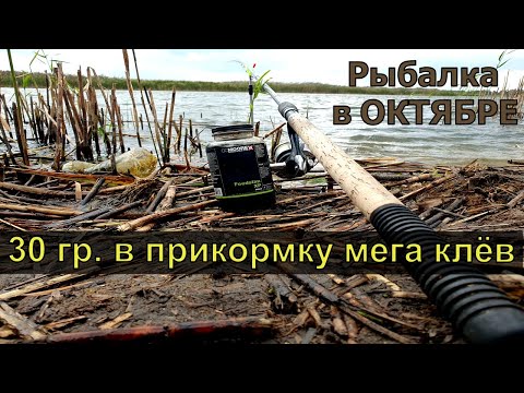 Видео: Рыбалка в Октябре. 30гр в прикормку и на 2 удочки не успеваю