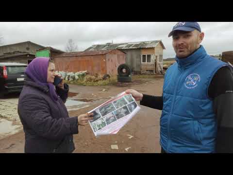 Видео: Оспа овец и коз - особо опасная болезнь