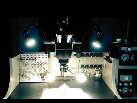 Видео: Профессиональный свет для ювелиров Master RENOVA