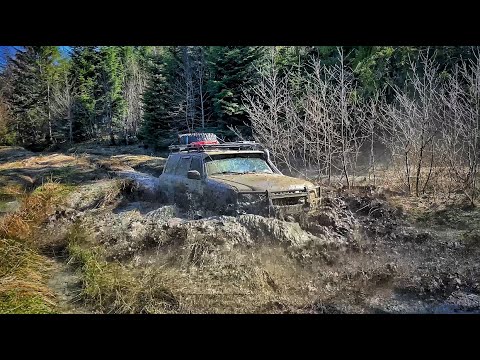 Видео: Финиш Карпартского Кордона 2021