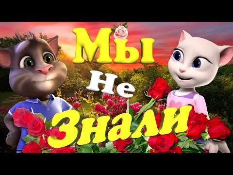 Видео: 🌼 Красивый Романтический и Милый 🌼 Клип от ✨ Тома и Анжелы ✨ с 💋 Любовью 💋 Дарим Настроение 100 % 👍