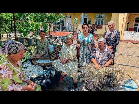 Видео: Узбекистан! Месяц без сна! ТЯЖЕЛЫЙ ТРУД! Сдали кокон - СКОЛЬКО ЗАРАБОТАЛИ? Деревенская жизнь