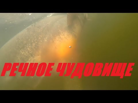 Видео: ОПАСНО!сом 200кг!Подводная ОХОТА НА РЕЧНОГО МОНСТРА Сома!Сом больше человека!2020!