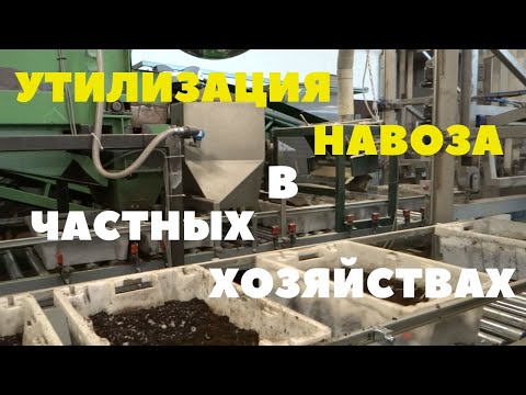 Видео: Как заработать на навозе/Бизнес на червях и биогумусе/Дендробена/Переработка навоза