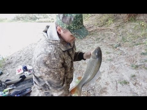 Видео: Митинка и Ахтуба сентябрь 2018  Часть 1